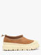 chestnut   whitecap