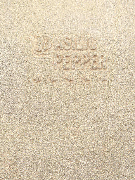 Shoulder Bag Houston Leather Basilic pepper Beige houston BHOU80 other view 5