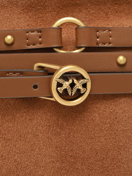 Leather Classic Belt Crossbody Bag Pinko Brown love bag soft 6176A0F6 other view 3