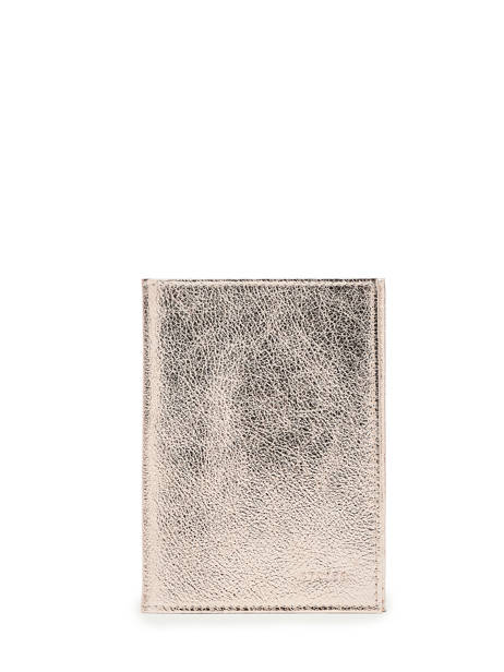 Leather Etincelle Irisée Passport Holder Etrier Gold etincelle irisee EETI025